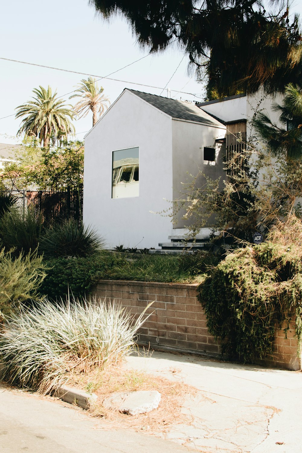 trees white concrete house