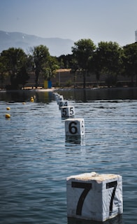 A series of numbered buoys float in a body of water, creating a pathway that leads toward the horizon. The buoys are white with large black numbers. In the background, trees line the shore, and a mountain range looms in the distance under a clear blue sky.