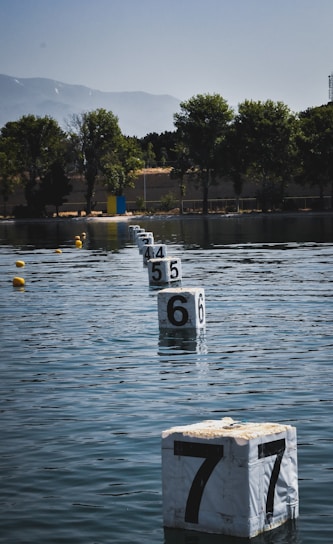 A series of numbered buoys float in a body of water, creating a pathway that leads toward the horizon. The buoys are white with large black numbers. In the background, trees line the shore, and a mountain range looms in the distance under a clear blue sky.
