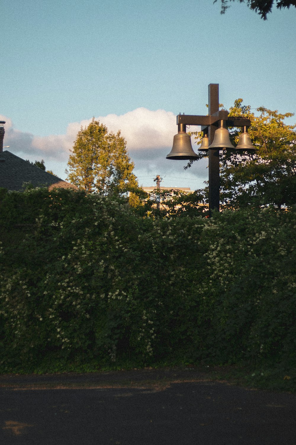 bells near bush