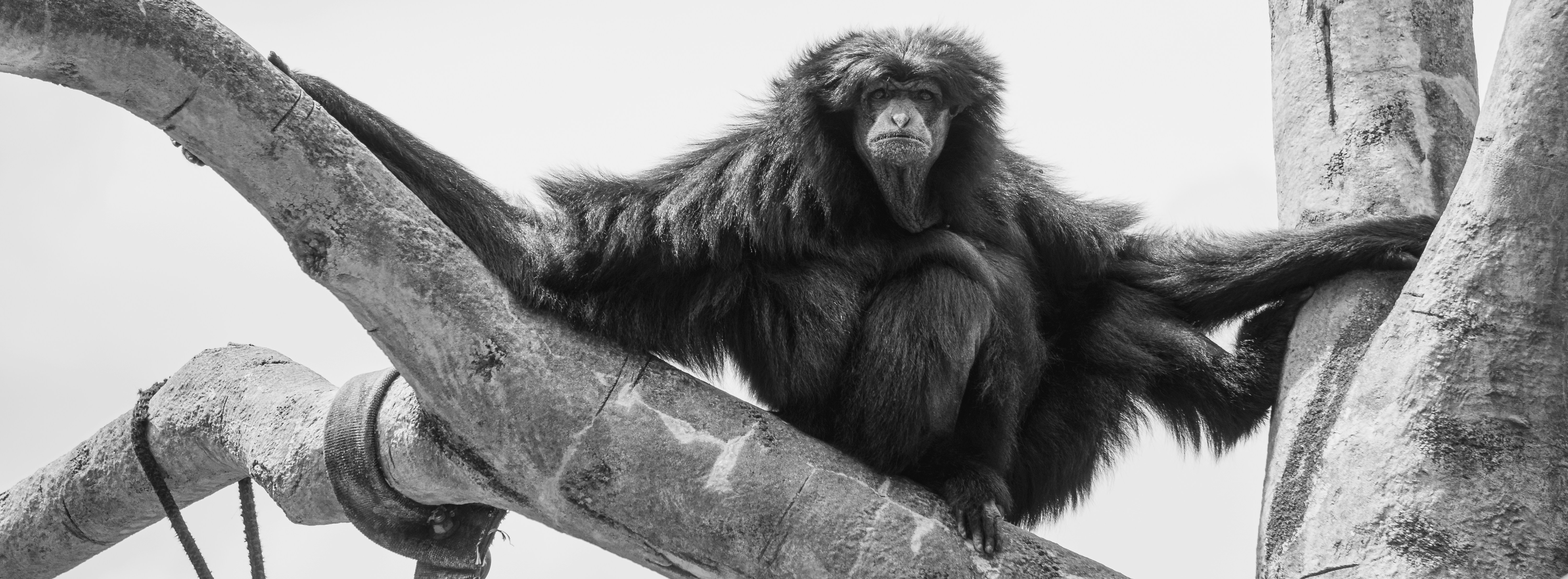 Photo by sonderquest