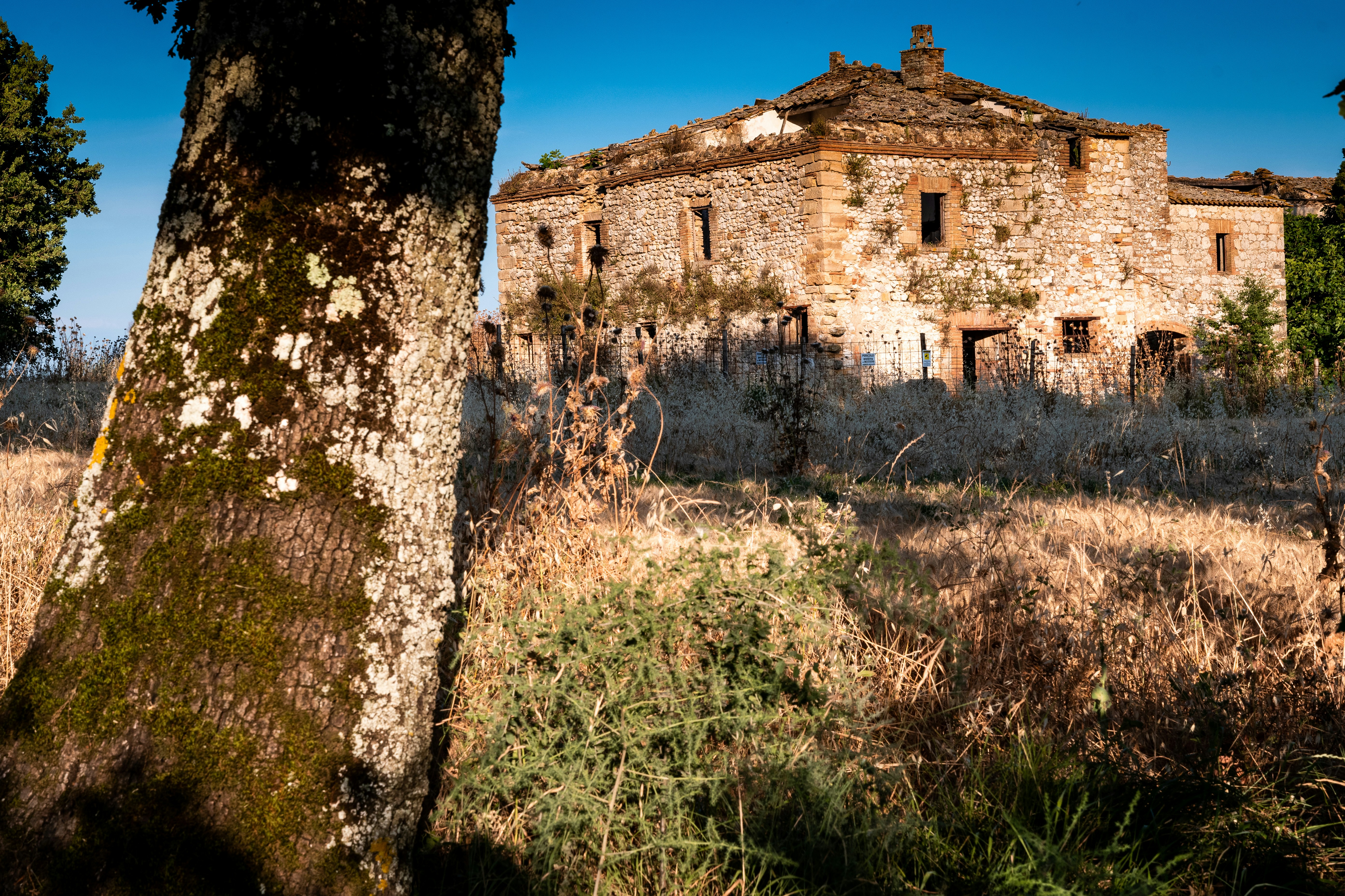 tree and grass in front of concbrick building, Abandoned villa in the Umbrian Countryside.