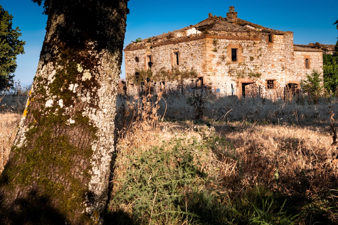 tree and grass in front of concbrick building, Abandoned villa in the Umbrian Countryside.