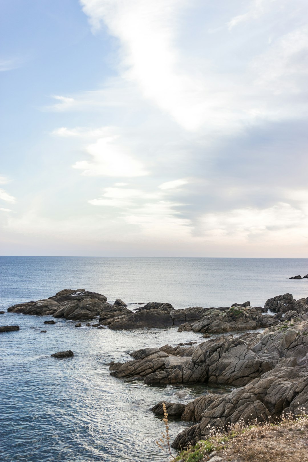 seashore under white sky