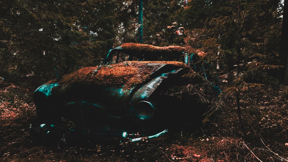 vintage gray vehicle near trees