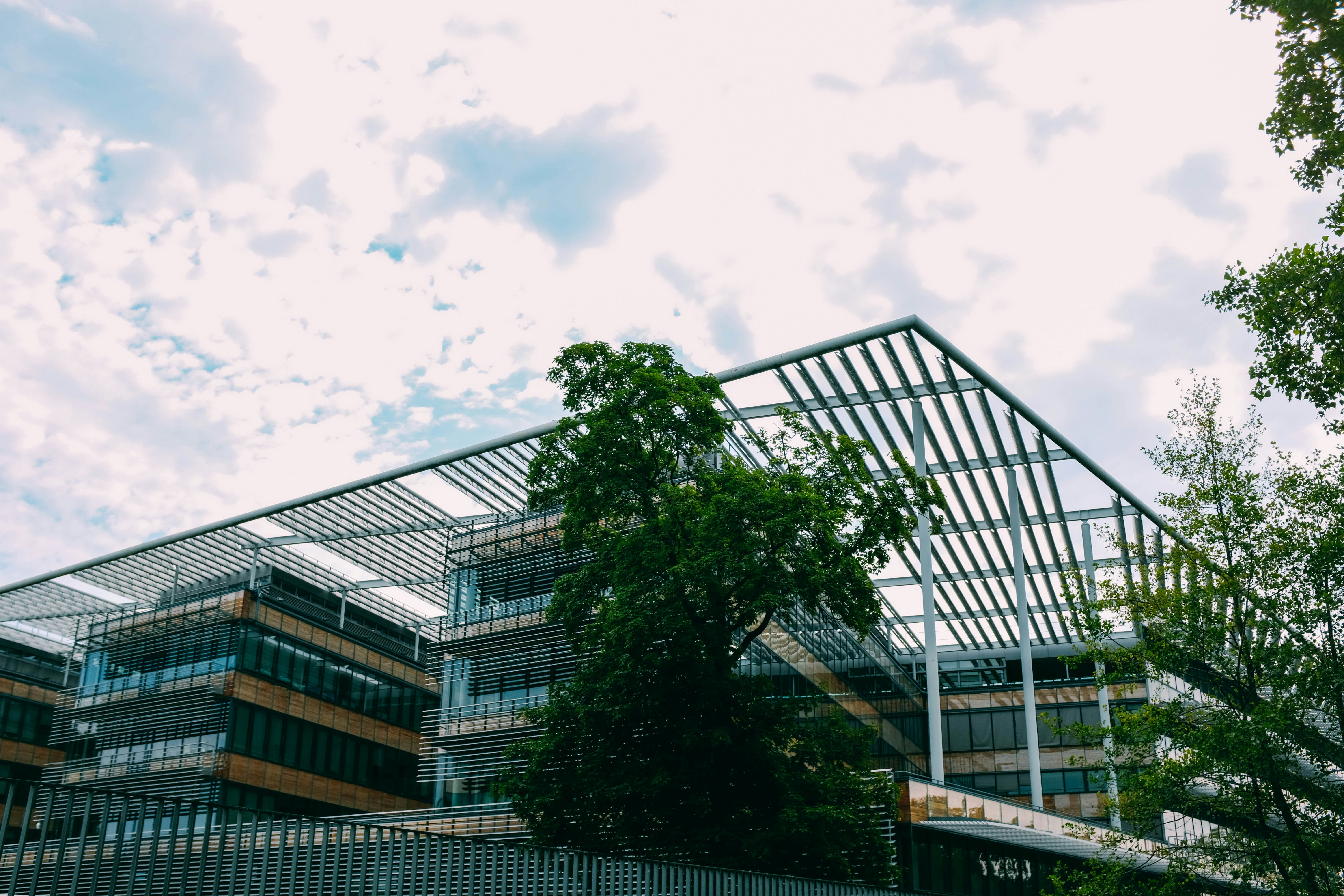 Photo by adrienolichon