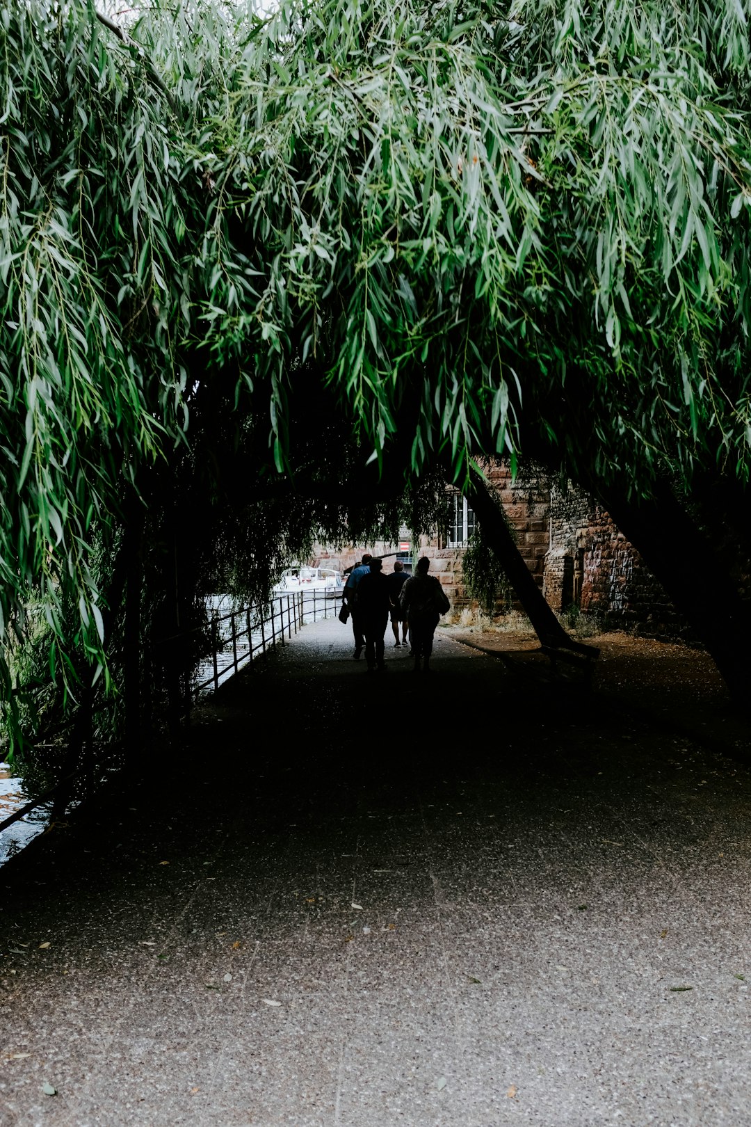 people walking underneath plants