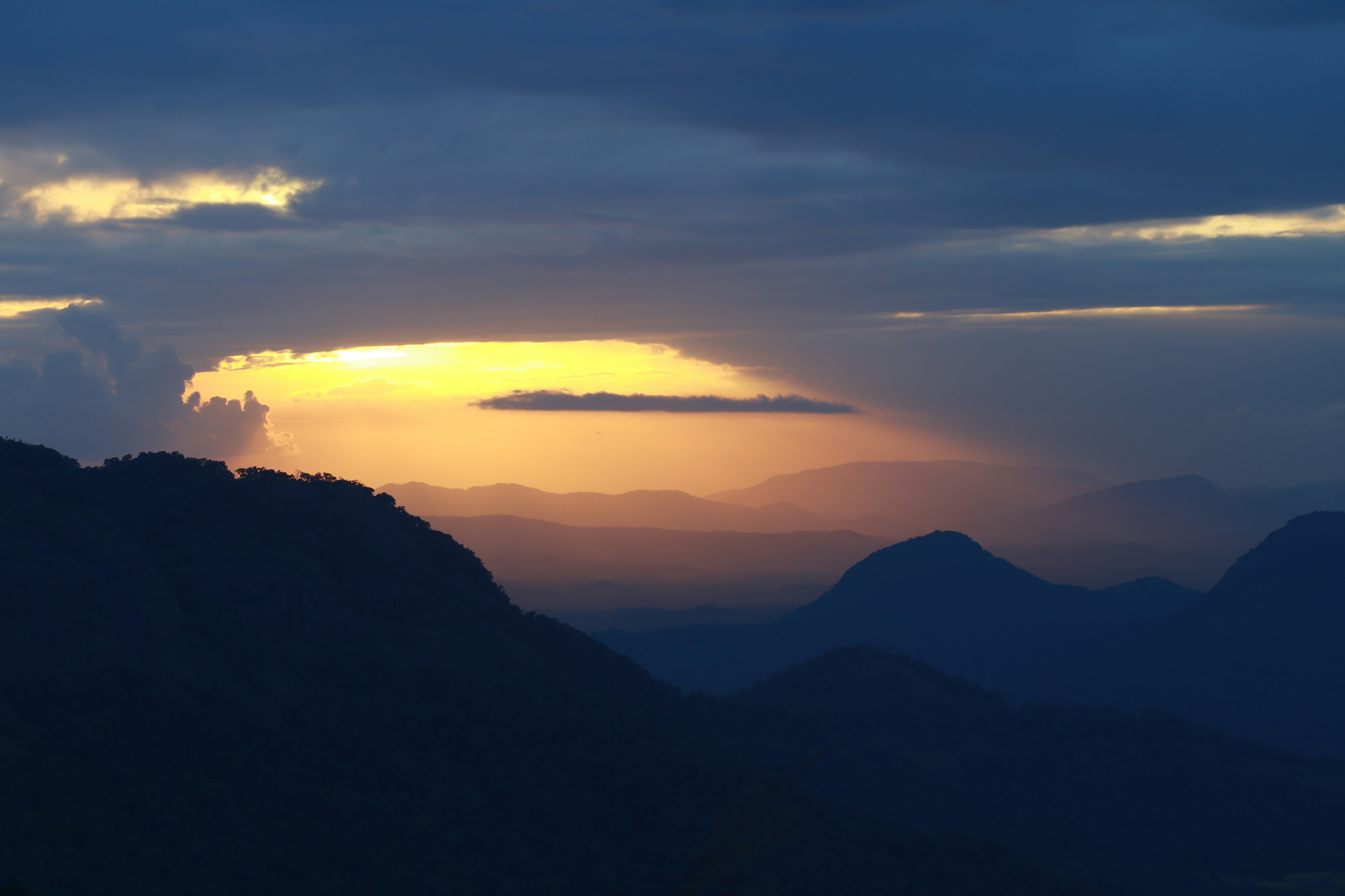 Photo by wilsanphotography