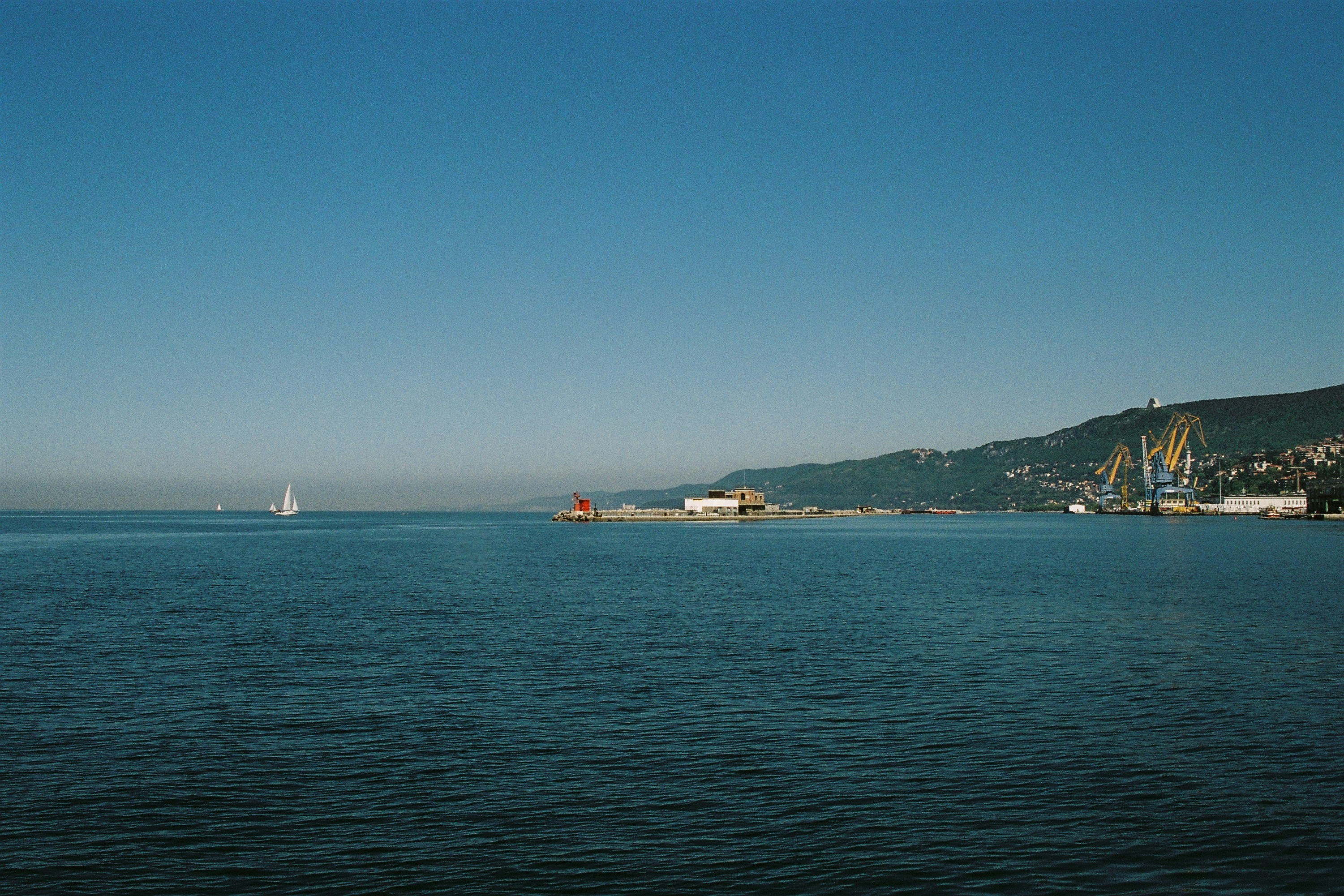 Photo by ristivojevic