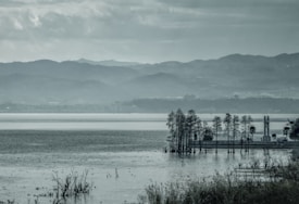 Photo 1562572825 29b1d3ba9ee7?q=85&w=275&h=275&fit=crop