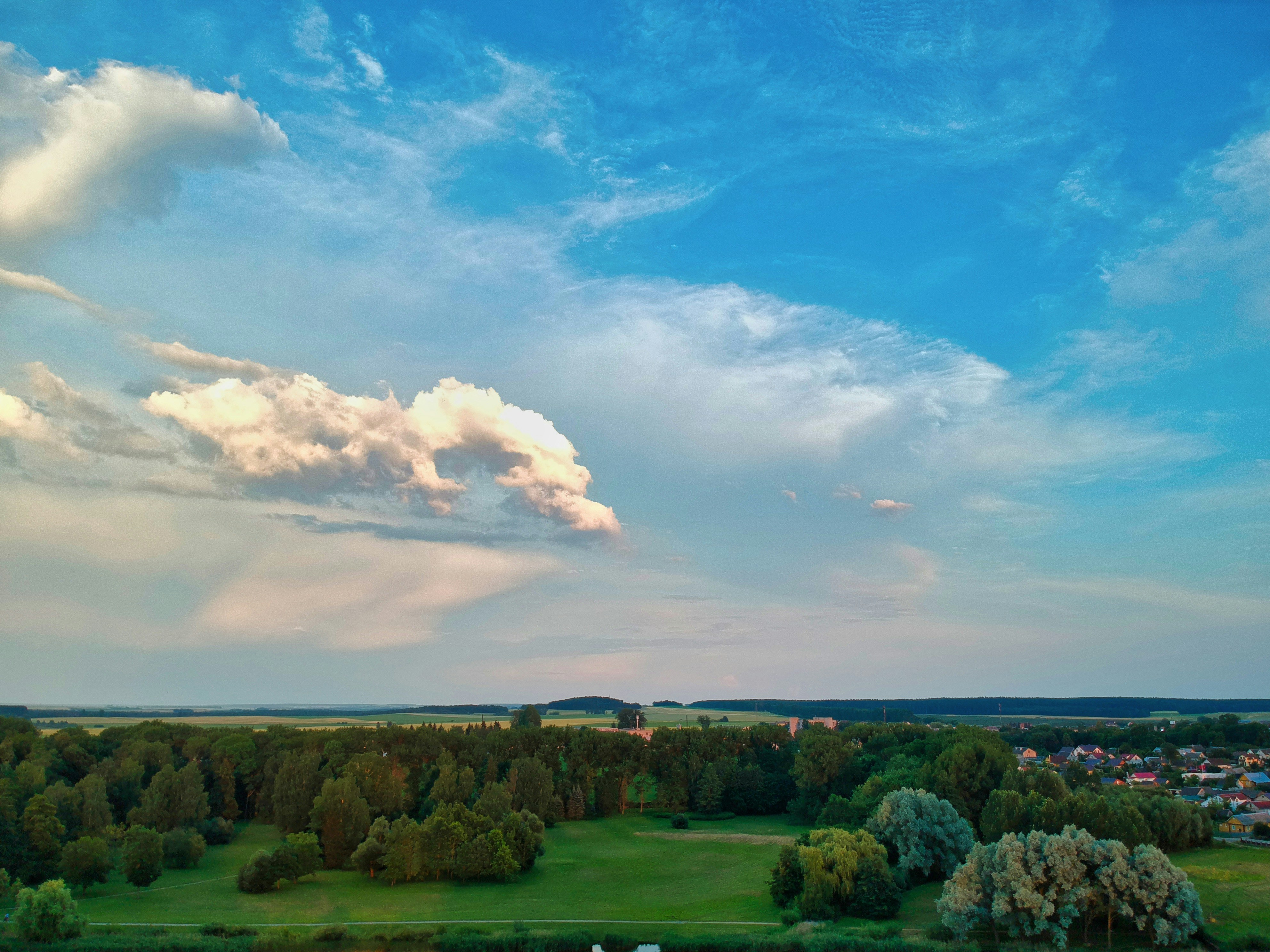 Photo by egorkaway