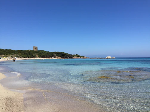 A beautiful beach in Curacao with clear blue waters.
