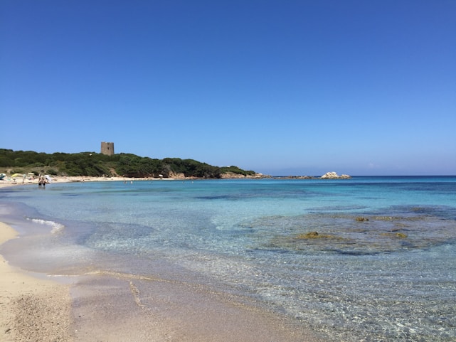 A beautiful beach in Cozumel with clear blue waters.