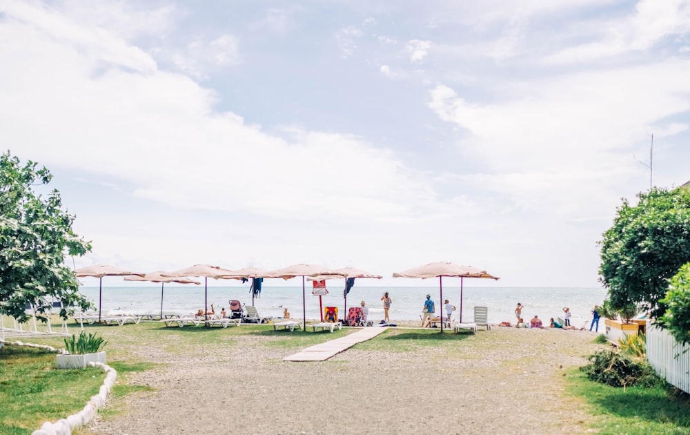 gruppo di persona che si diverte sulla spiaggia