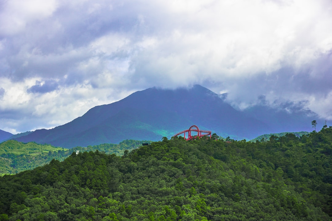 green trees on mountain during daytime