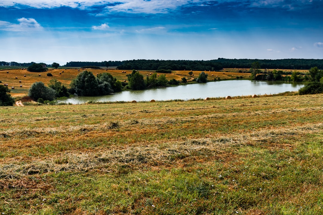 green grass field, Umbria countryside scene. River.