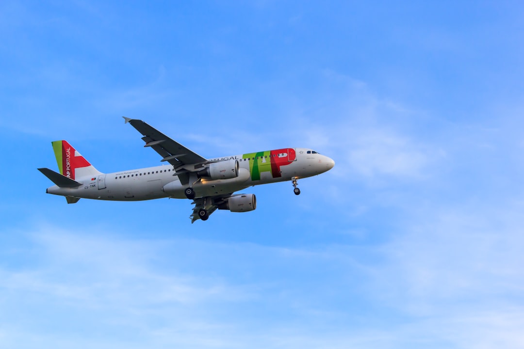 7 Insider Tips for Flying TAP Portugal Maximizing Your Experience