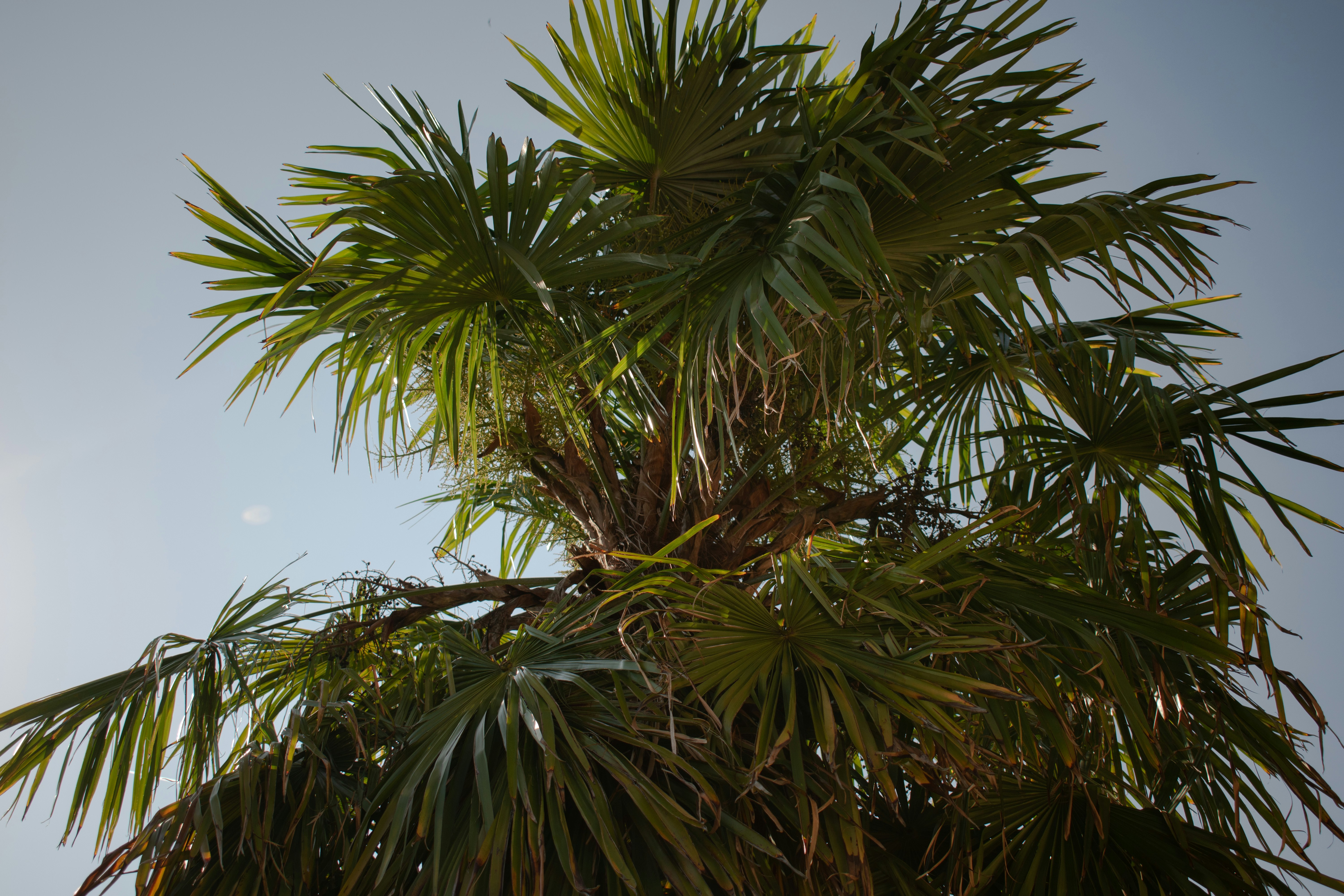 Yverdon-les-Bains taxi service