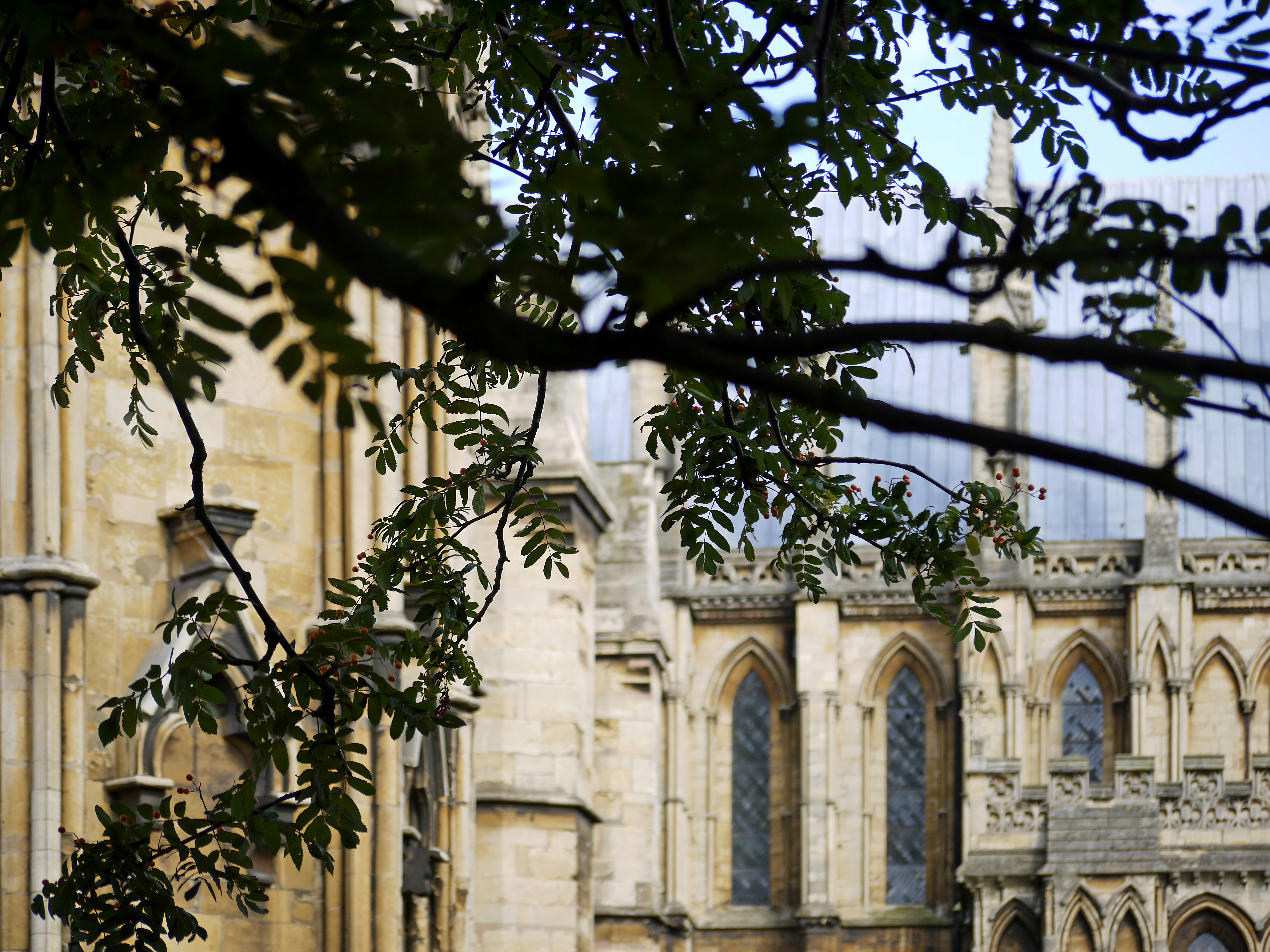 Photo by brett_jordan