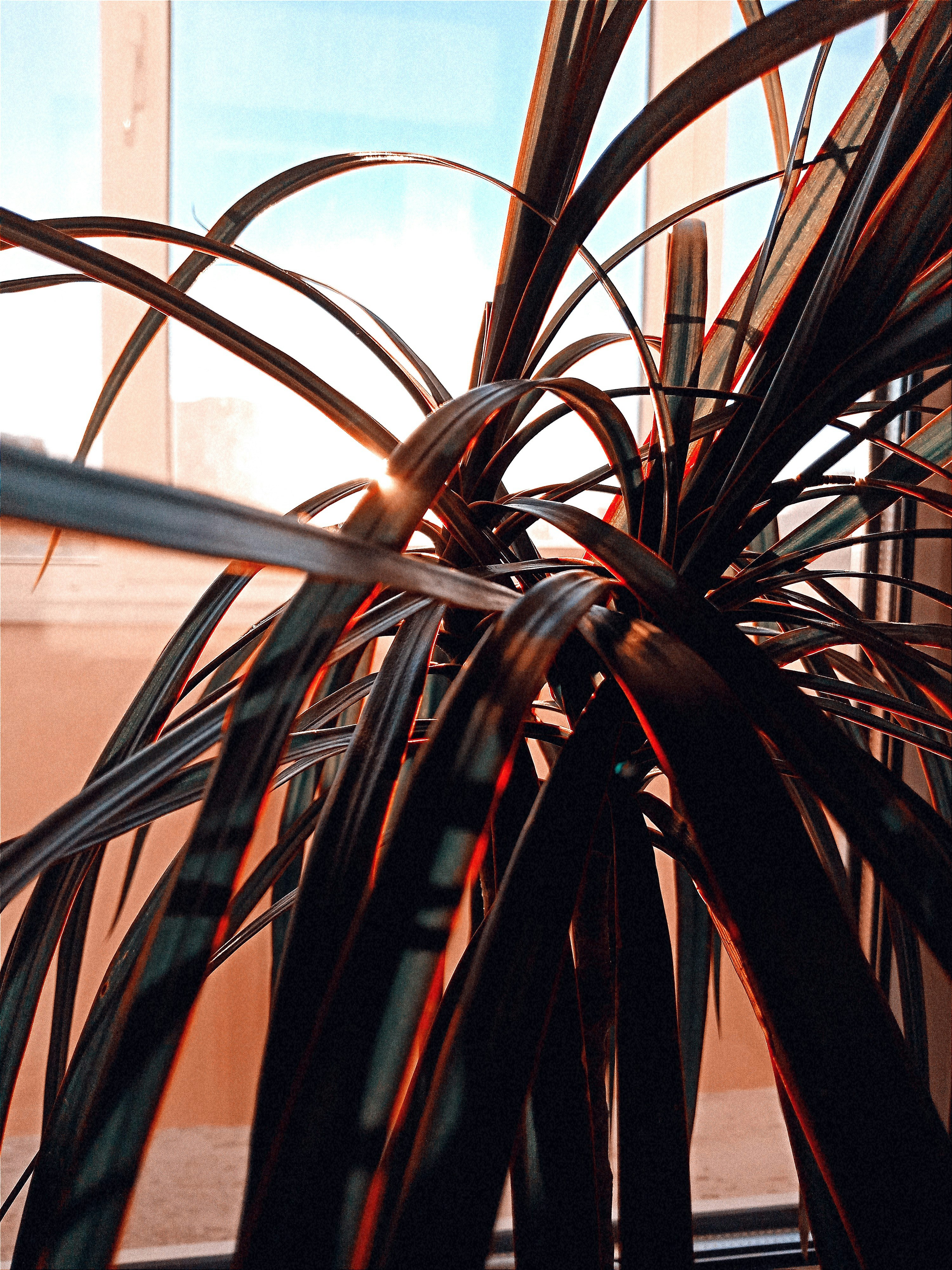 Photo by khedazarmaev