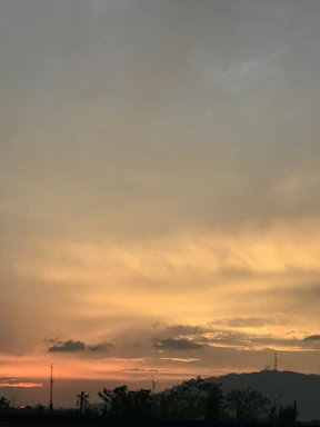 A warm, earthy-toned sunset sky over the Australian outback, with silhouetted trees and a hint of stars beginning to appear.