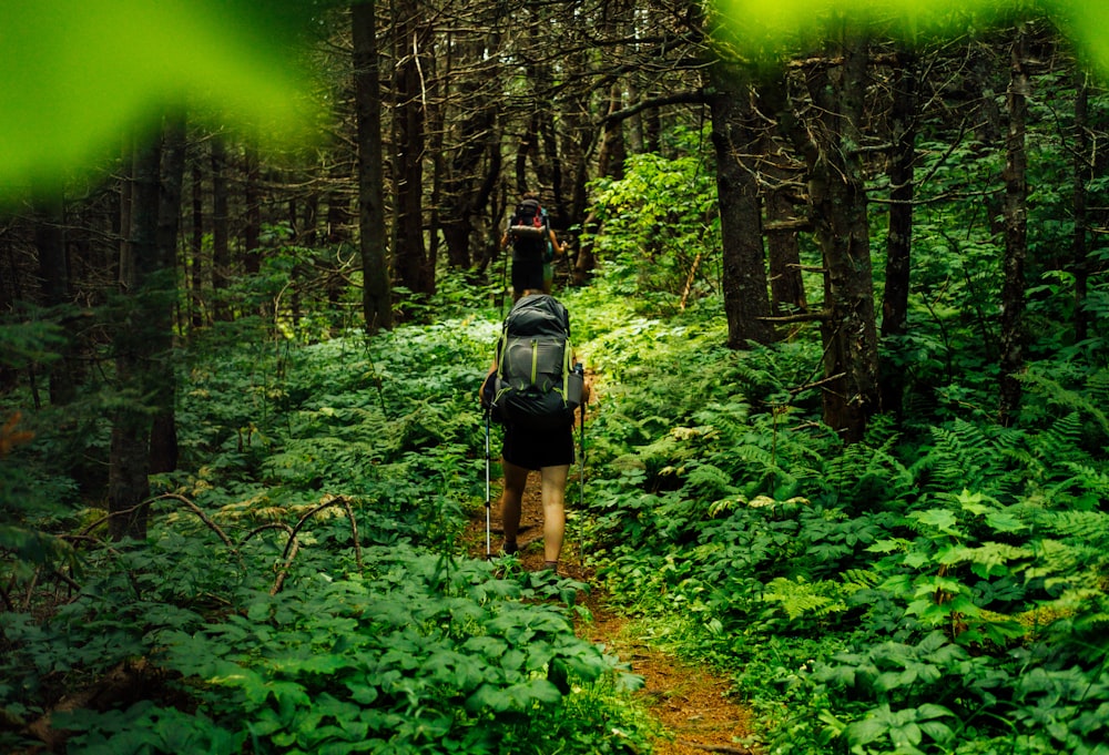 Persona caminando sobre el bosque