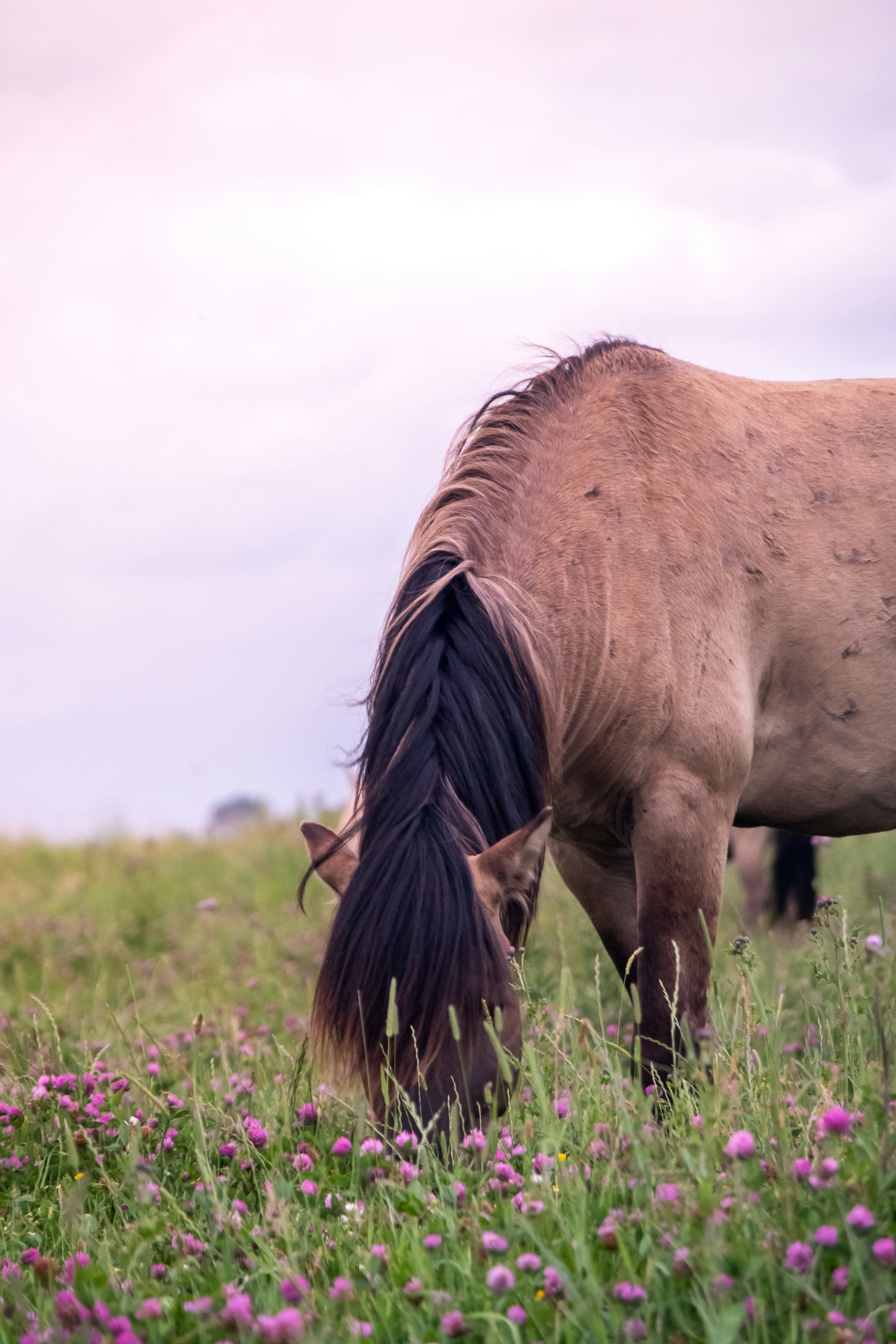 Photo by robinmathlener