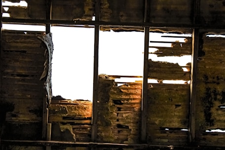 Technician inspecting a roof structure for signs of woodworm damage under natural light.