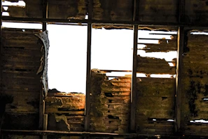 Timber beams inside a loft showing signs of wet rot damage
