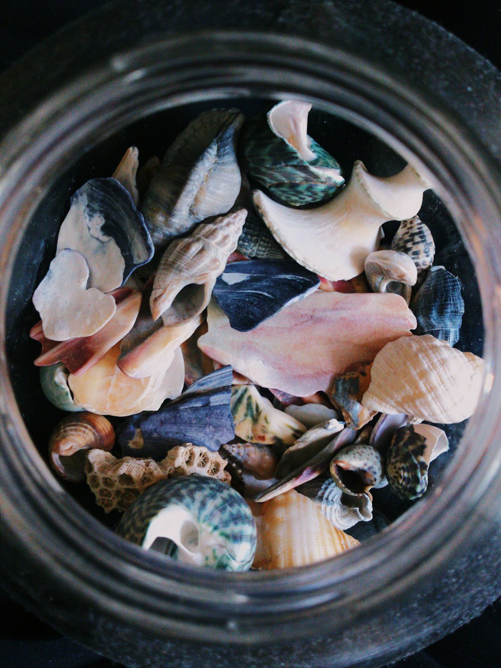 shells in jar