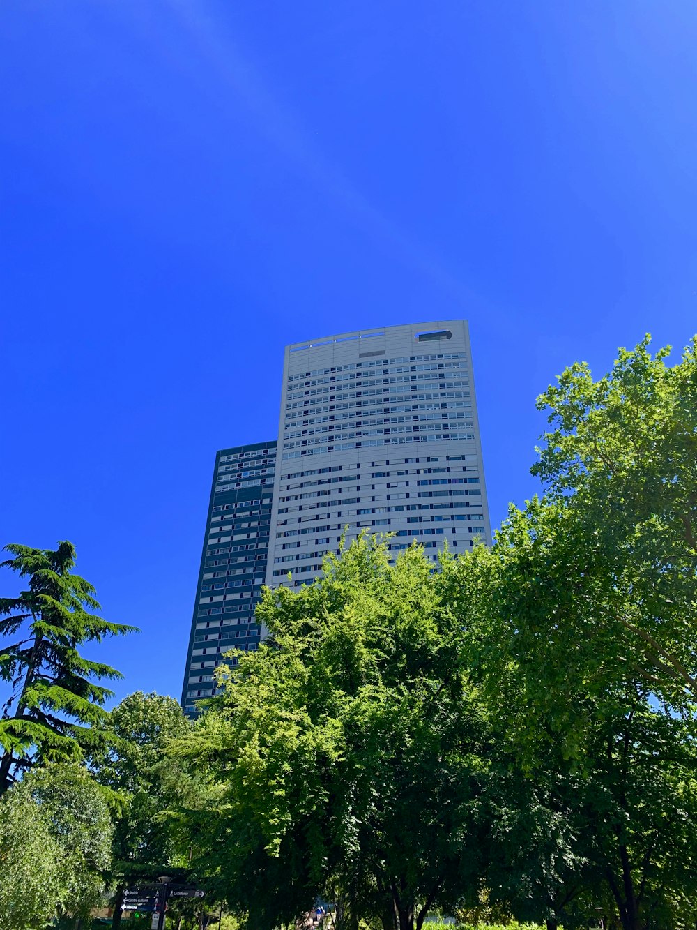 um edifício alto sentado ao lado de um parque verde exuberante