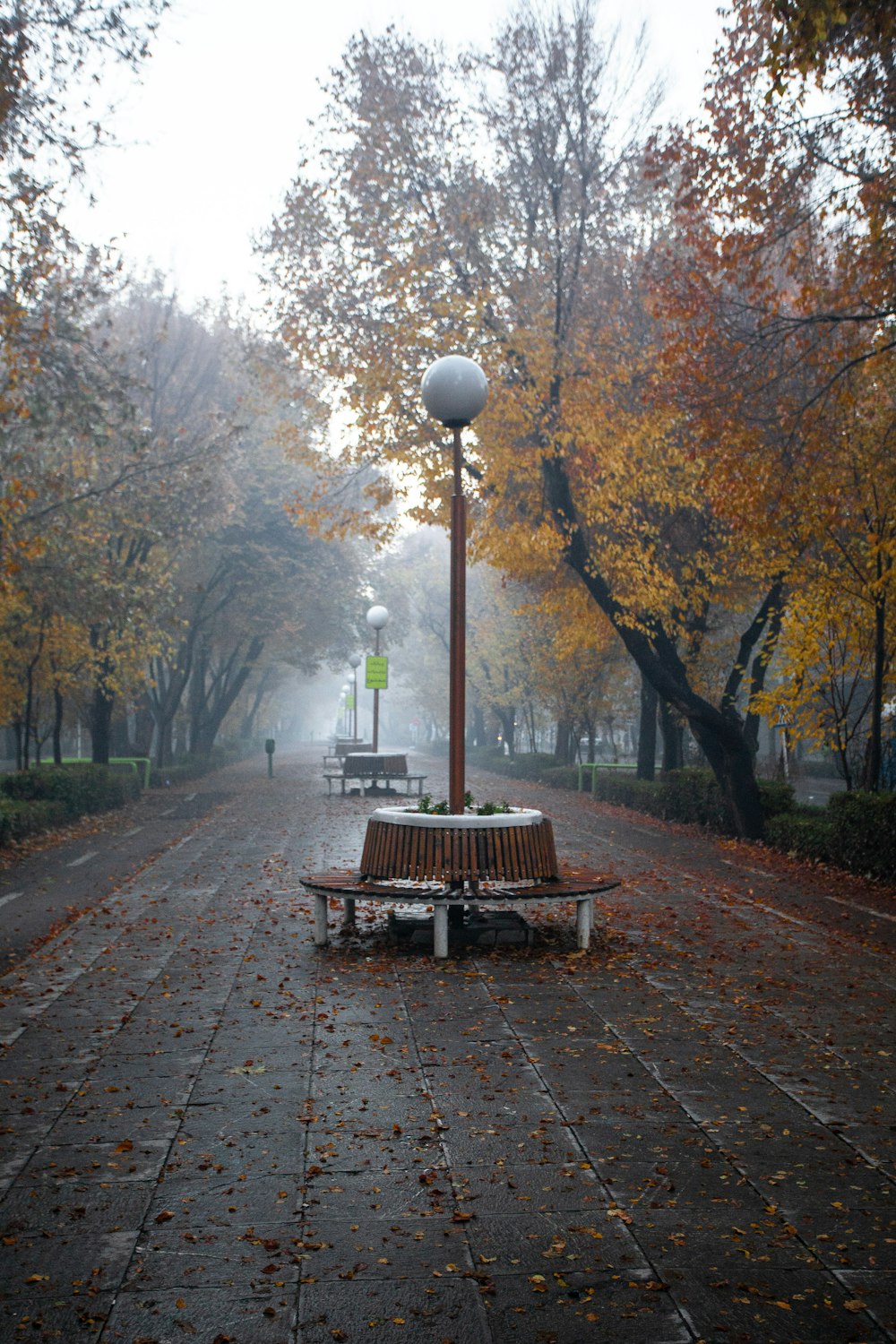 bench between trees