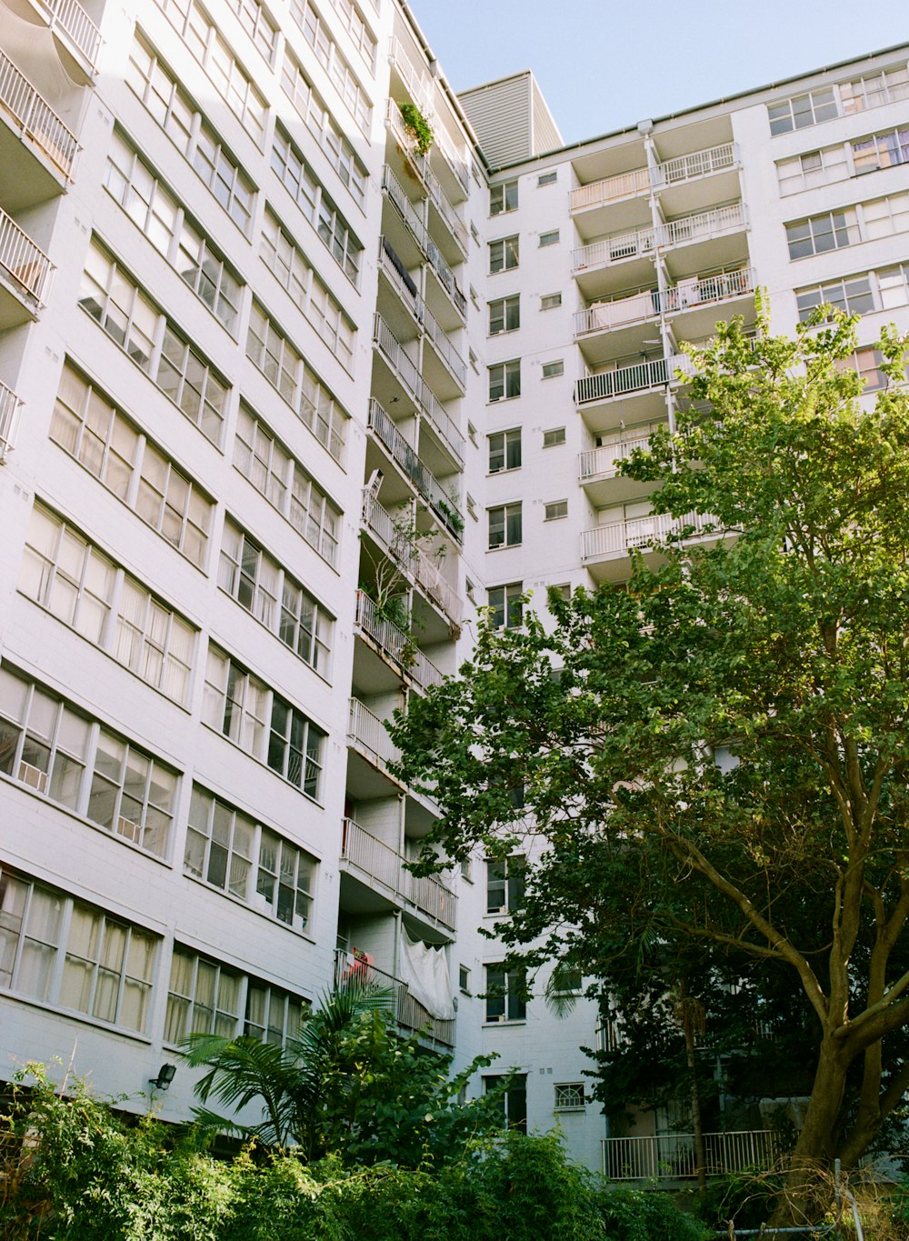 white concrete buildings close-up photography