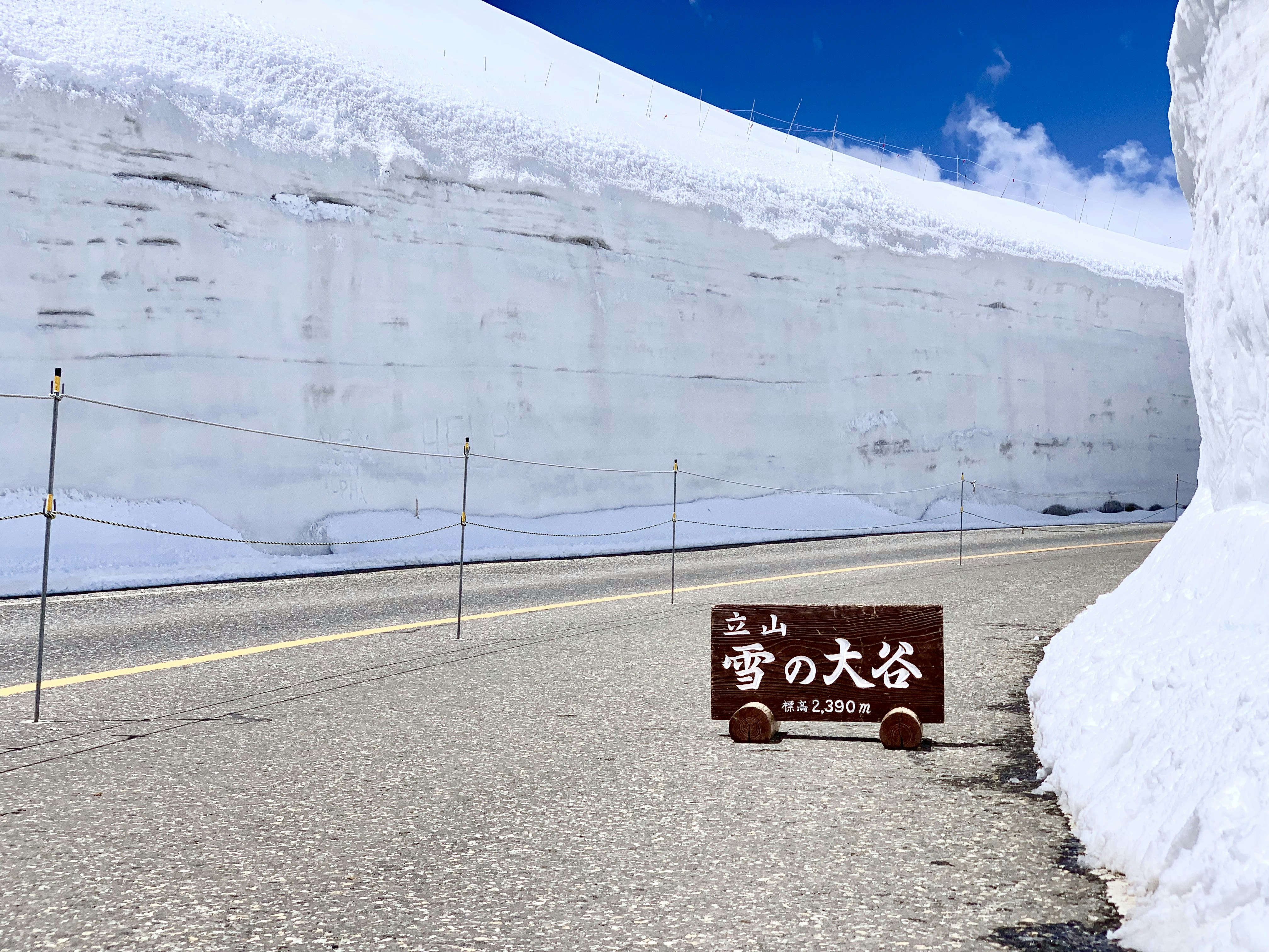 wooden signage on curved road