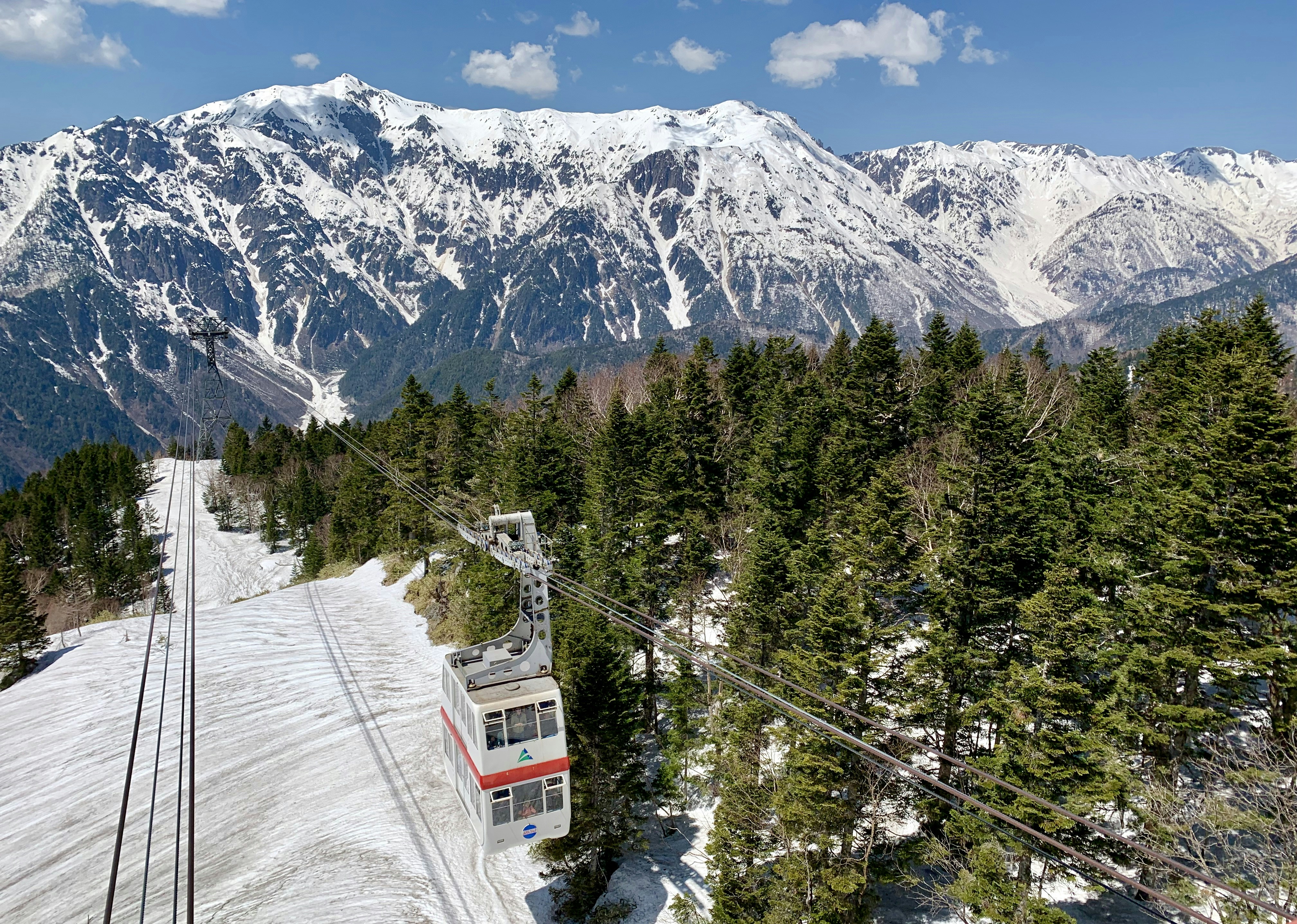 cable car over trees facing mountain