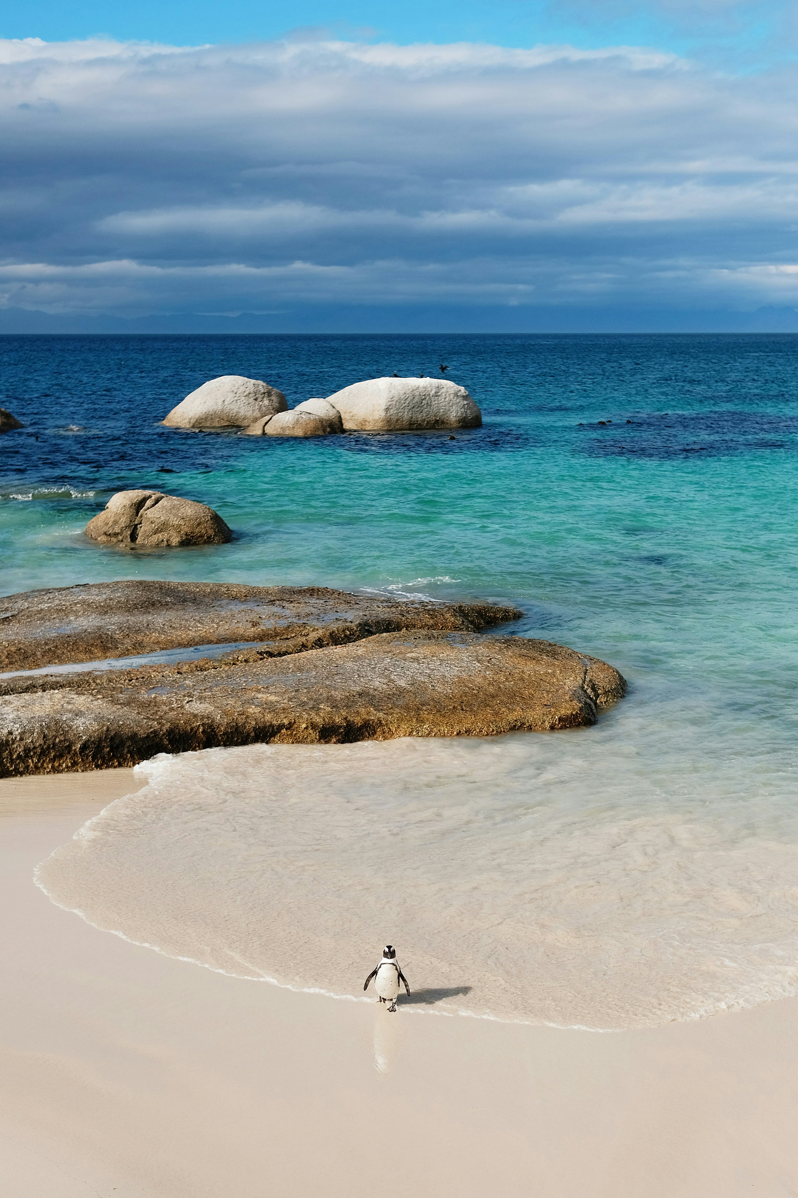 Photo by pixelperfektion