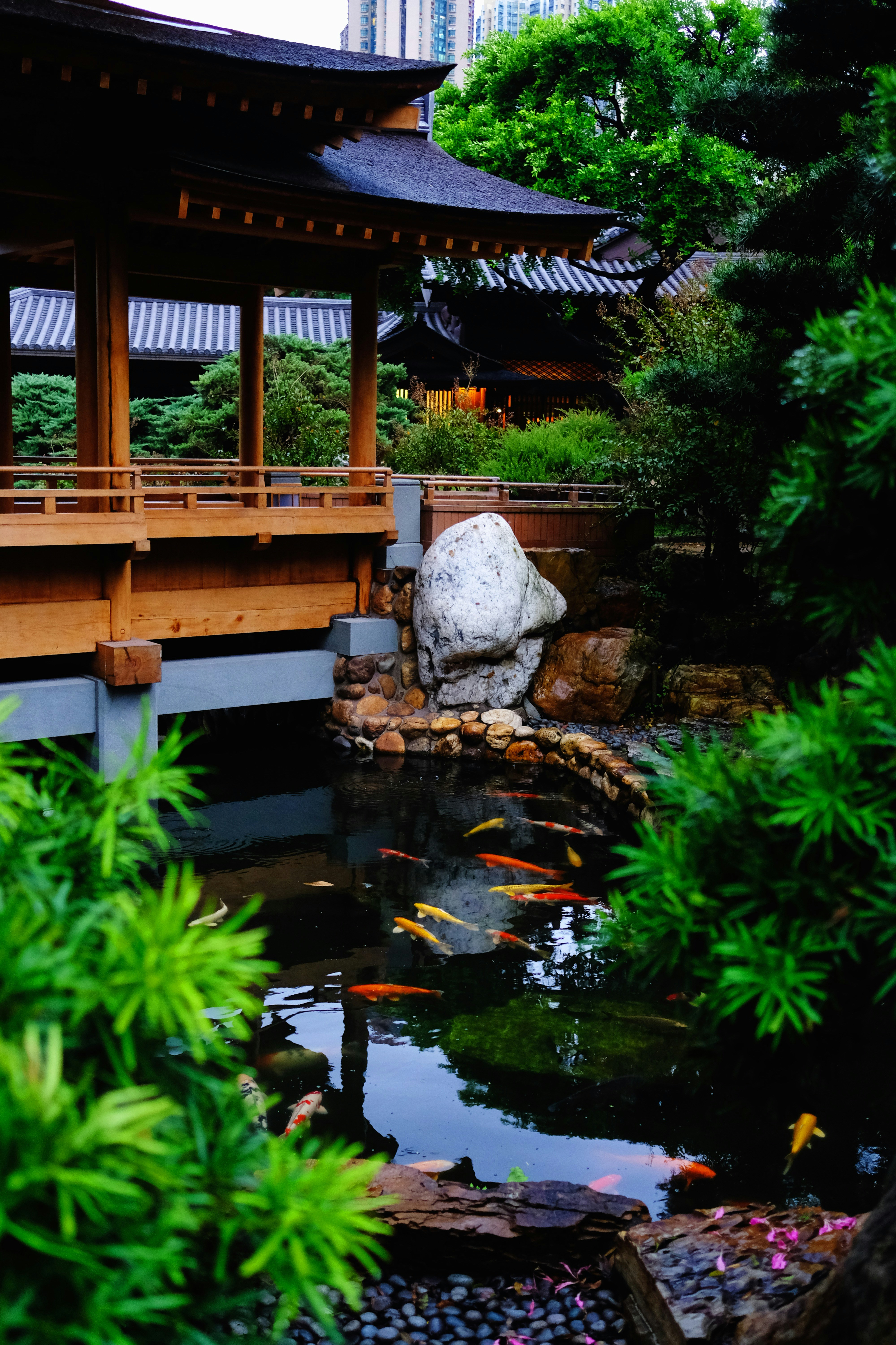 Photo by pixelperfektion