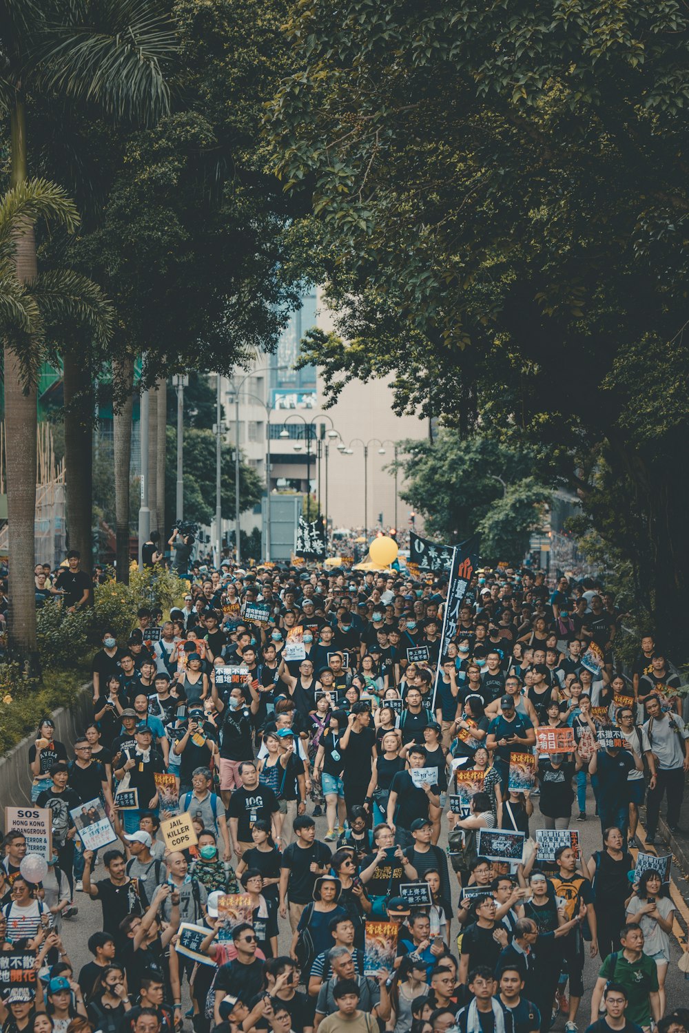 people protesting on road