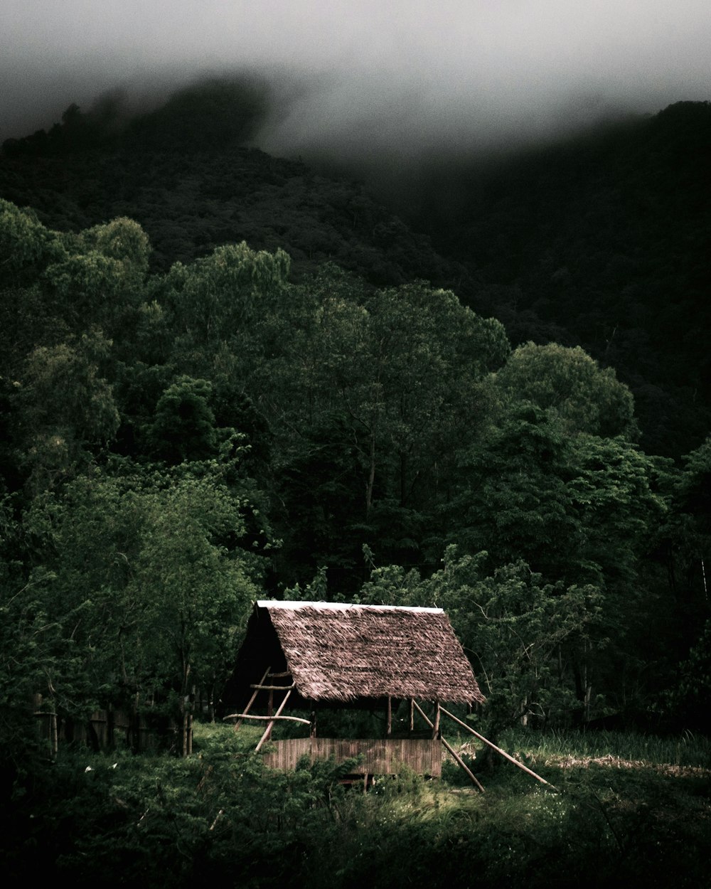 brown wooden hut beside green leaf trees during daytime