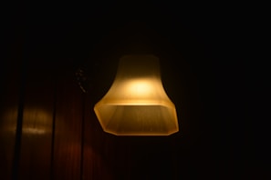 A newly installed light fixture casting warm light in a cozy living room.