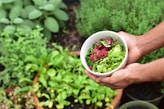 Close-up of hands holding a healthy salad bowl with colorful vegetables.