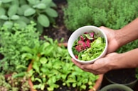 Hands holding a bowl of vibrant salad, showcasing natural, wholesome nutrition.