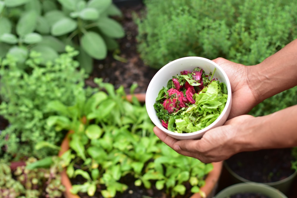 person holding leaves on bowl