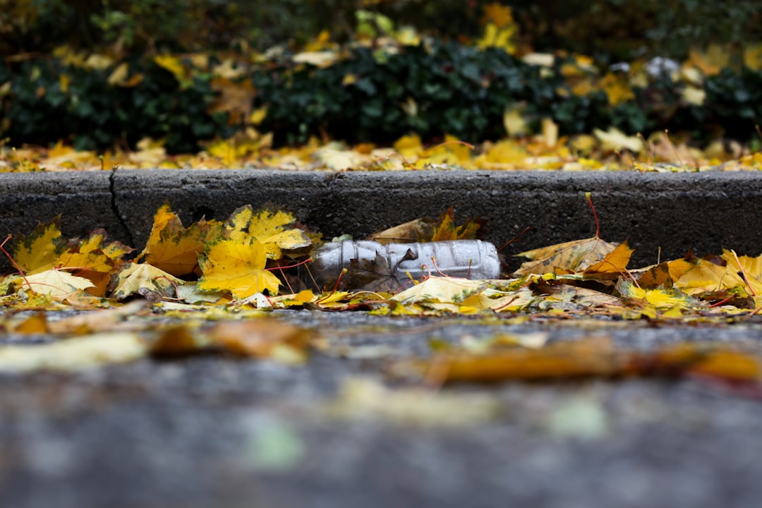 plastic bottle on pavement