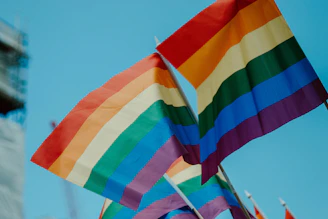 multicolored flag
