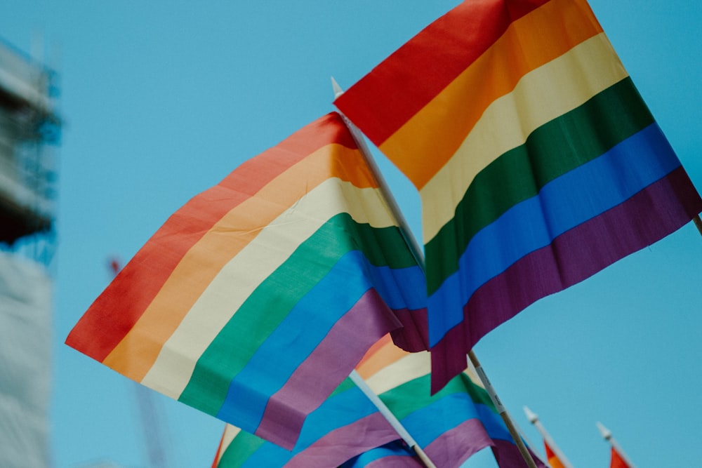 bandeira multicolorida