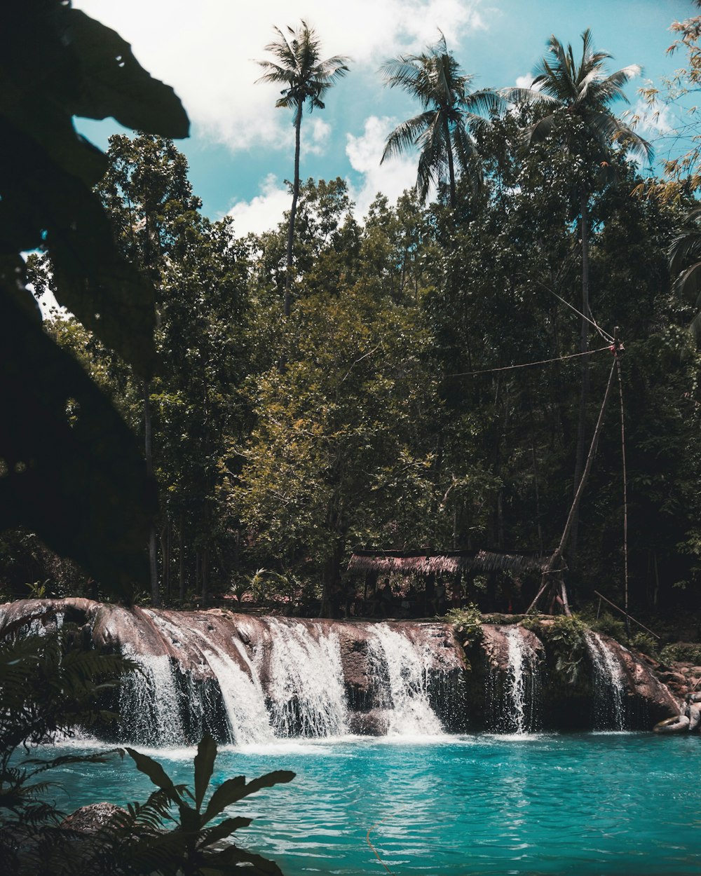 waterfall view during daytime