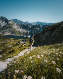 person walking towards mountain during daytime
