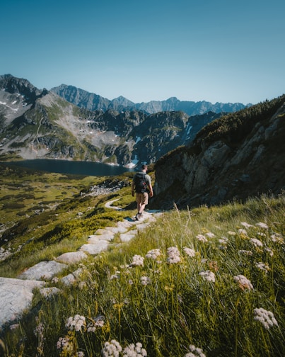 person walking towards mountain during daytime