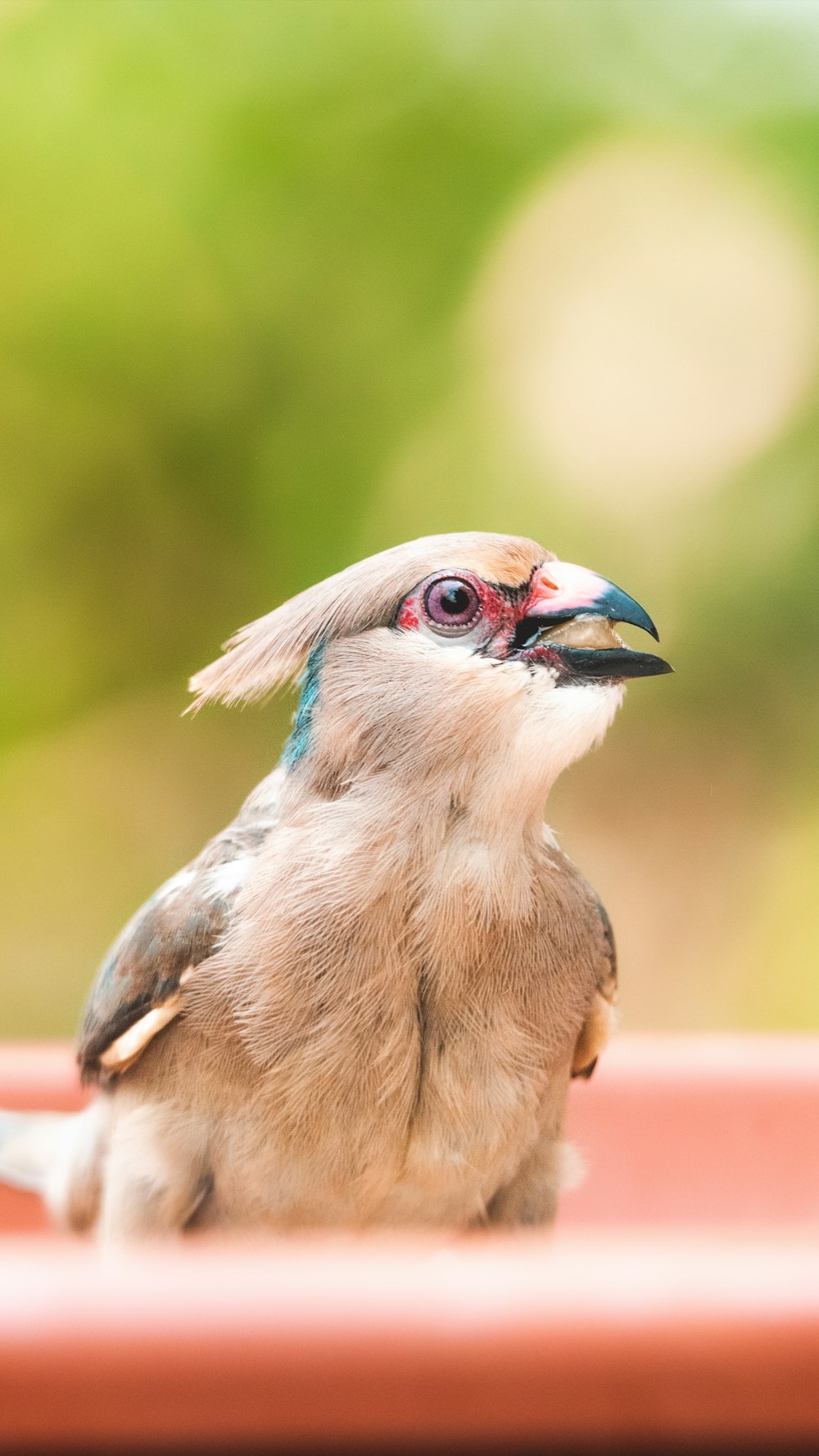 Ein kleiner Vogel, der auf einer Topfpflanze sitzt